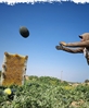 بالصور حصاد موسم البطيخ فى قطاع غزه
