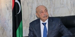 مجلس النواب الليبي يسمي ممثليه بلجنة “6+6” لوضع قوانين الانتخابات