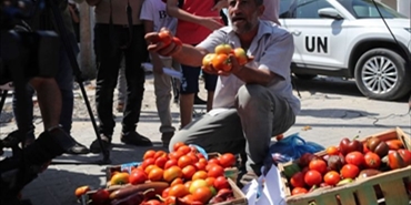 غزة.. مزارعون يرفضون شروطا إسرائيلية لتصدير الطماطم