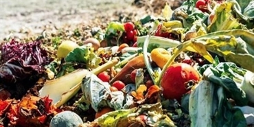 العالم يهدر ملياري طن من المواد الغذائية