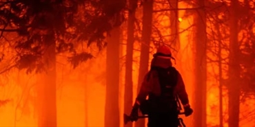 وزير البيئة اللبناني يكشف " آخر تطورات وأسباب اندلاع الحرائق في غابة الصنوبر