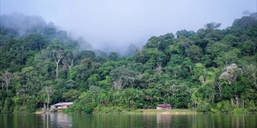 الأنشطة البشرية والجفاف دمرا ثلث غابات الأمازون! دراسة تحذر من تبعات ذلك على الأرض وتدعو للتحرك