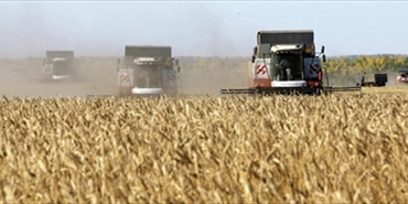 واردات الحبوب من روسيا إلى اليابان تزيد بنسبة 554.8%