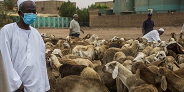 كيف ستتأثر الدول العربية بحرب السودان؟ وإليك سلعاً قد ترتفع أسعارها